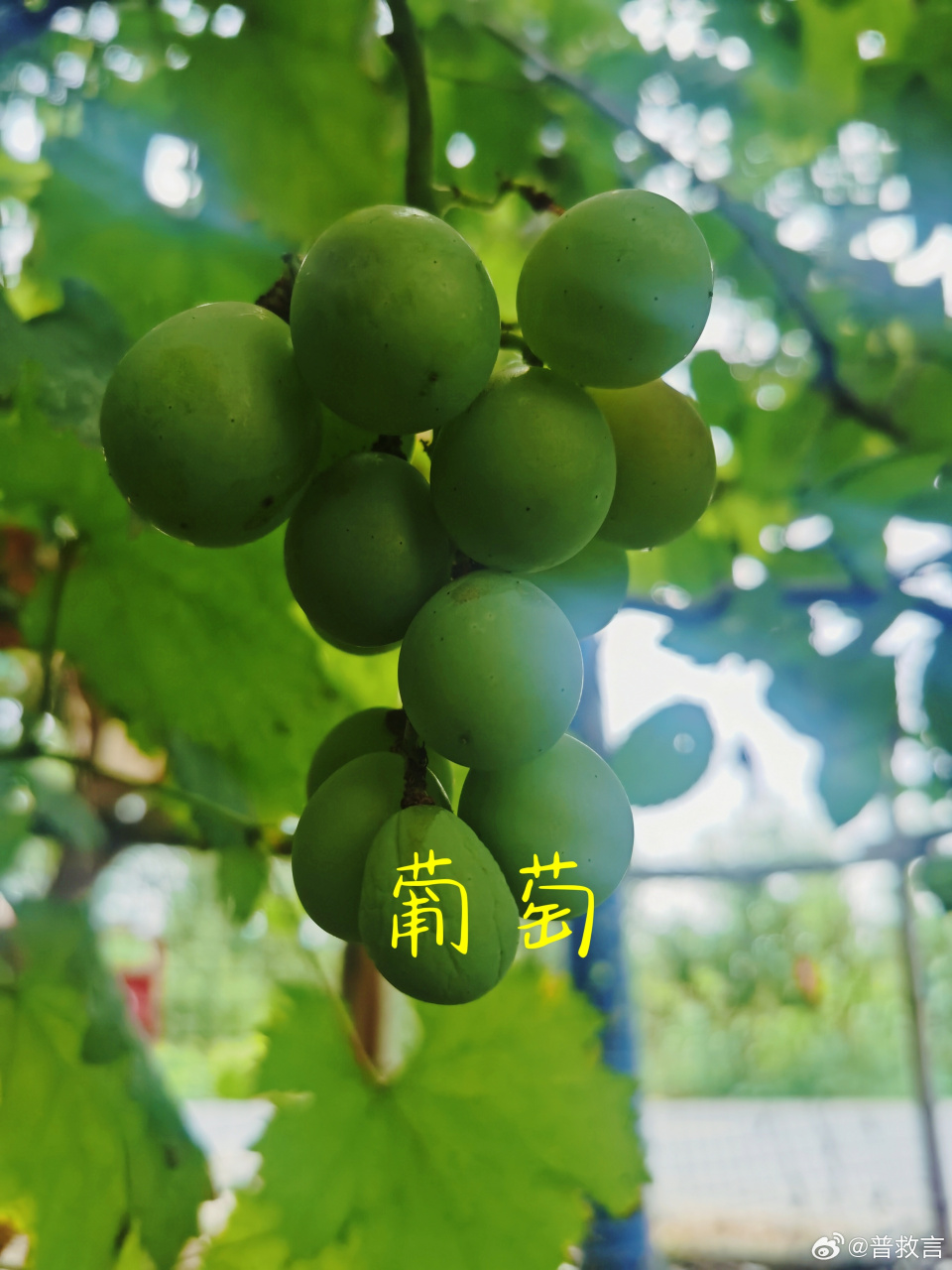 游戏人间的前提是  照顾好自己的身心  希望我们可以  活得逍遥自在一