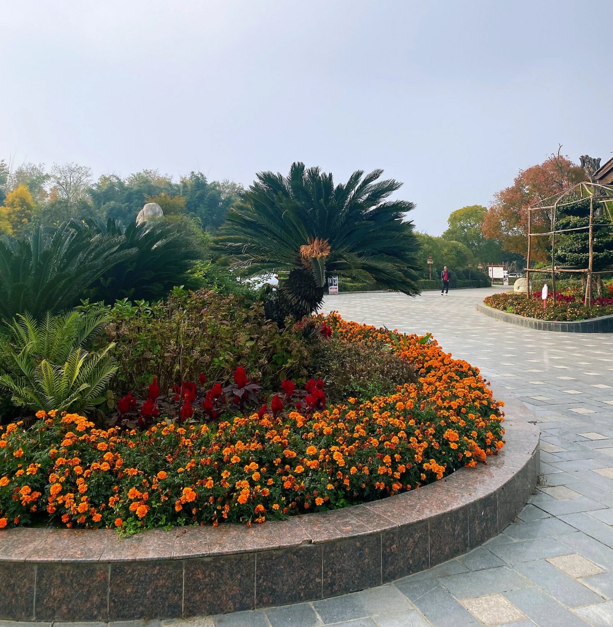 走进御景园,你会立刻被其绿意盎然的景色所吸引.