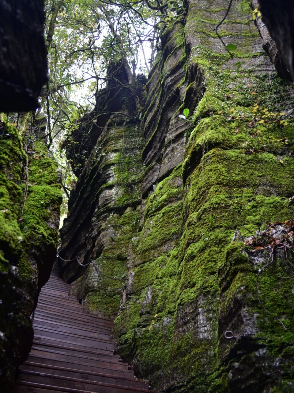 戴冠石林梭布垭 壮美的自然风景地遍布恩施土家族苗族自治州但这些