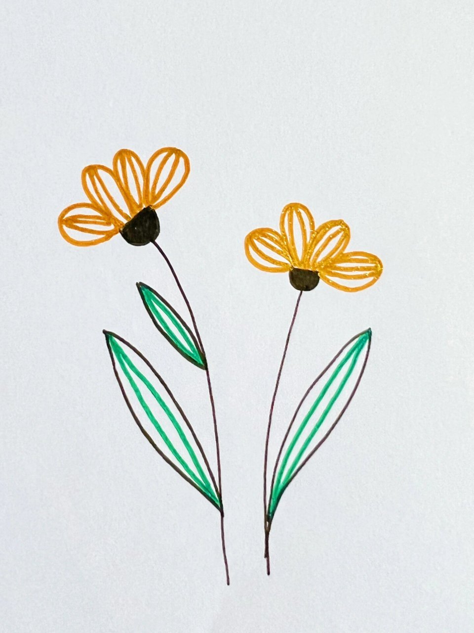 简笔画 黄色野花