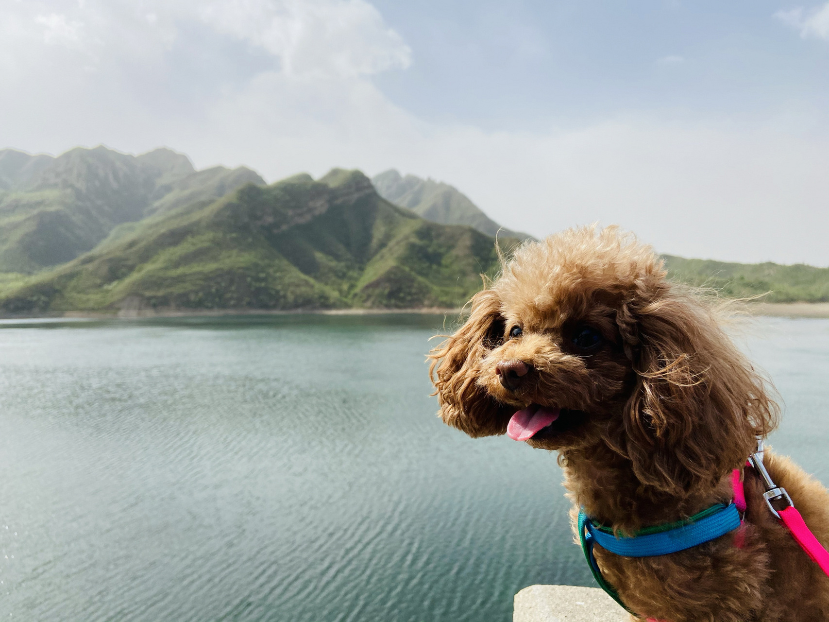 拍照绝美,人间美景——保定阜平三岩寨 11566免费景区,不花钱75