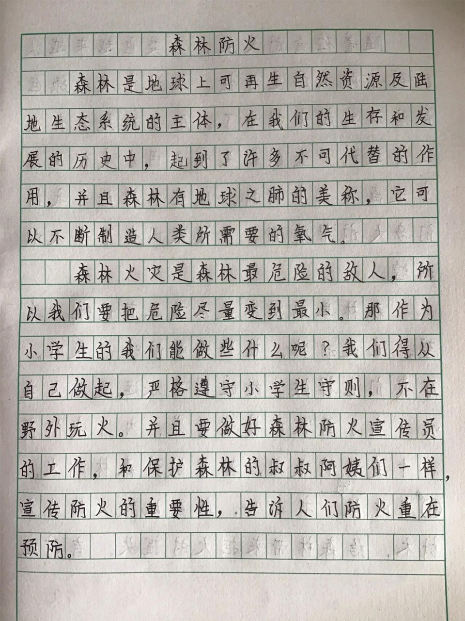 防火作文300字图片