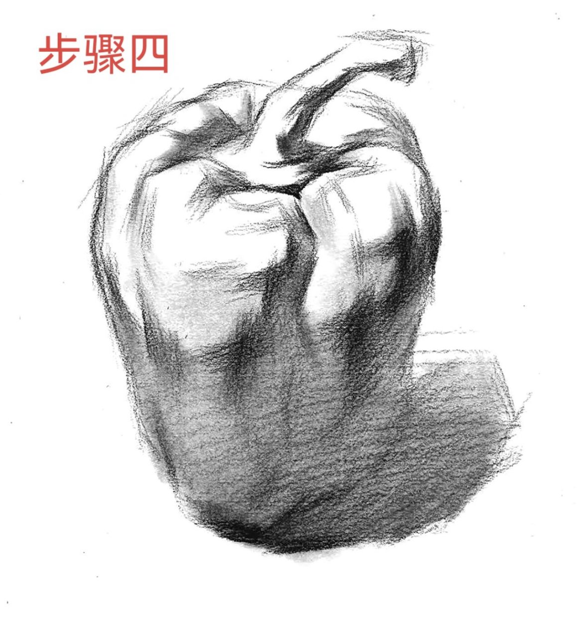 素描青椒 结构图片