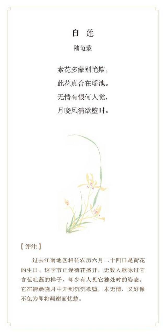 早自习# 陆龟蒙《白莲》