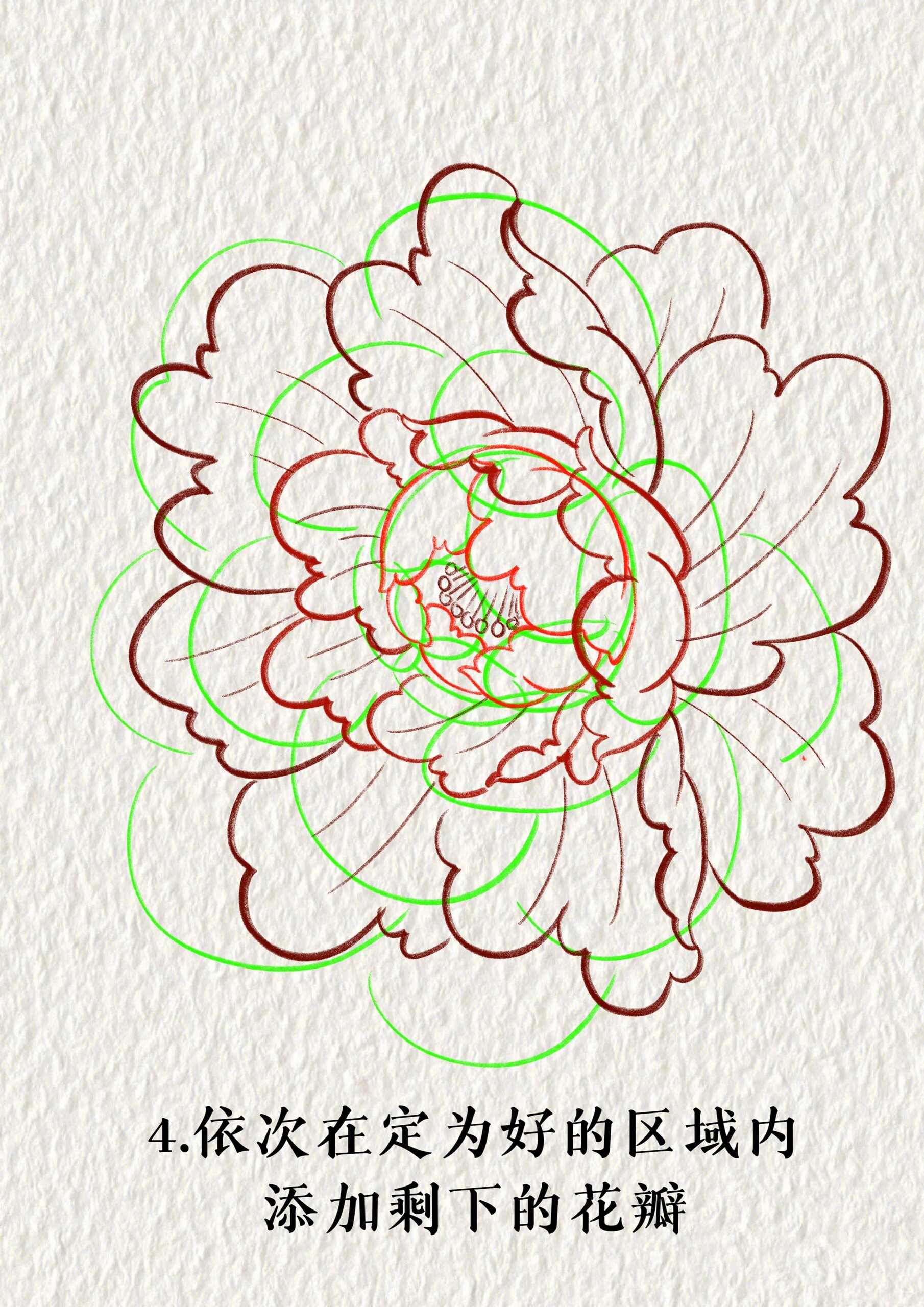 5分钟学会牡丹的画法 和昨天的菊花画法非常相似,赶紧动手练起来吧