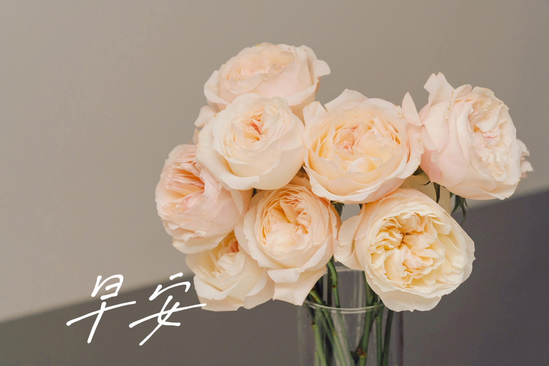 早安日签|早安文案|朋友圈文案|正能量励志 心里装着美好 眼前的世界