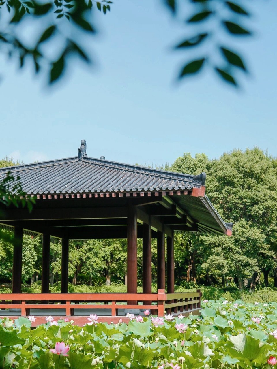 武汉好去处|汤湖公园竟有这么多好地方6015 汤湖公园位于沌口