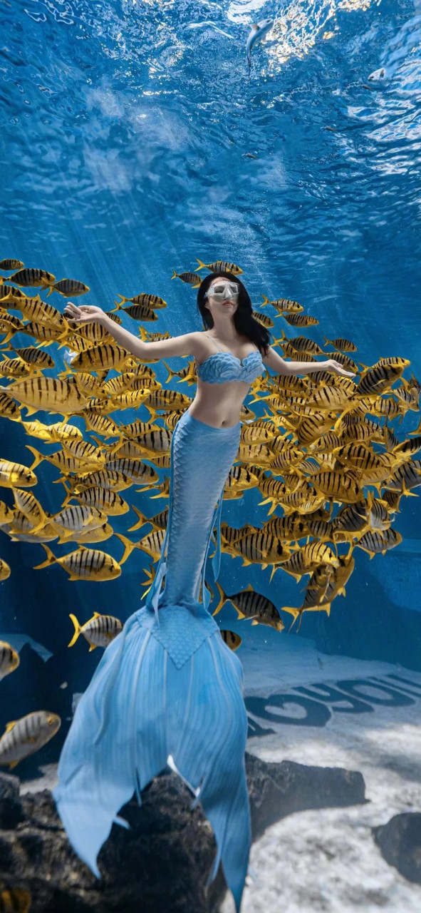 董璇,蓝色美人鱼造型浪漫写真壁纸图集