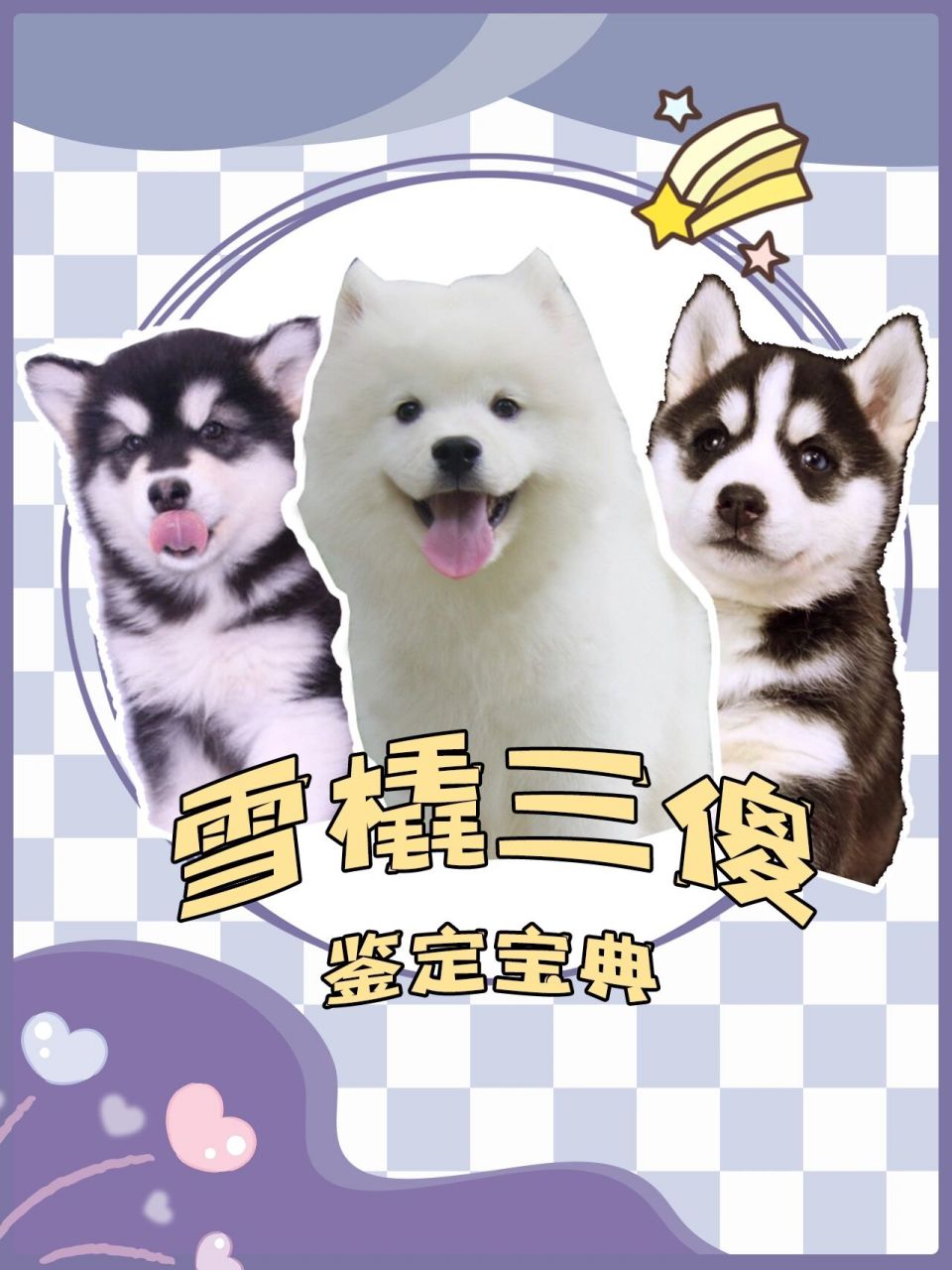 02 03"雪橇"二字由来都知道,为什么要叫"三傻"04 	 "三傻"集体