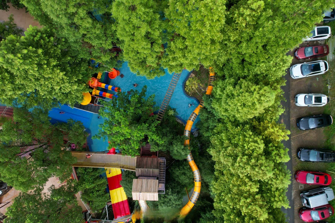 #德清视角# 7月25日,德清县舞阳街道山民村森林