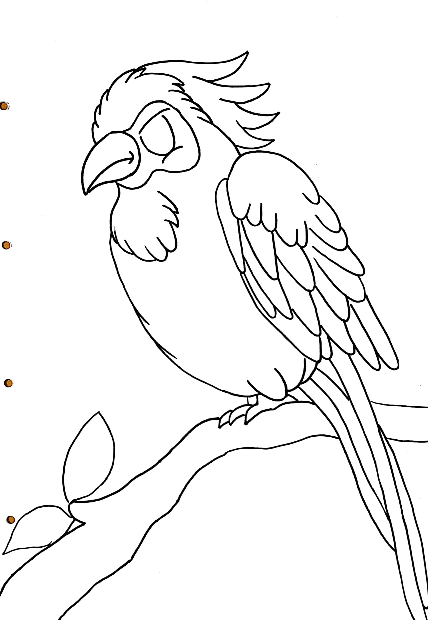 9-10岁少儿创意美术【鹦鹉