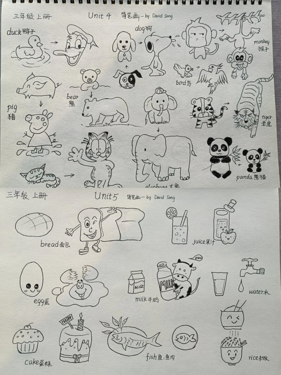 小伙伴们学英语简笔画的同时记得要背单词哦#可爱简笔画# #儿童简笔画