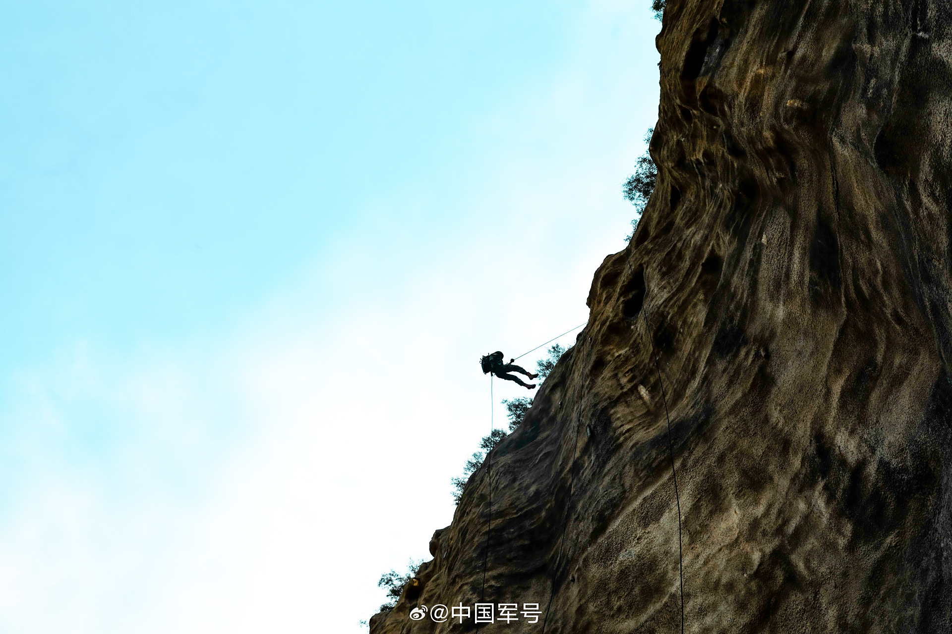 特战队员捕歼演练震撼瞬间#】近日,武警河北总队衡水支队深入某地域