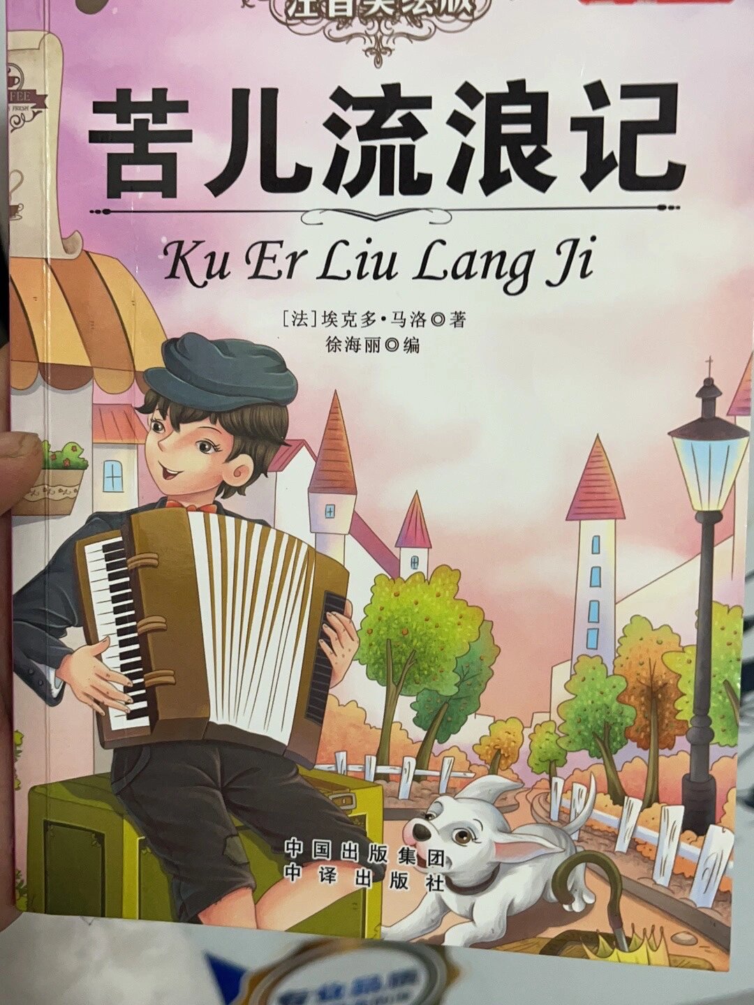 读书60《苦儿流浪记》