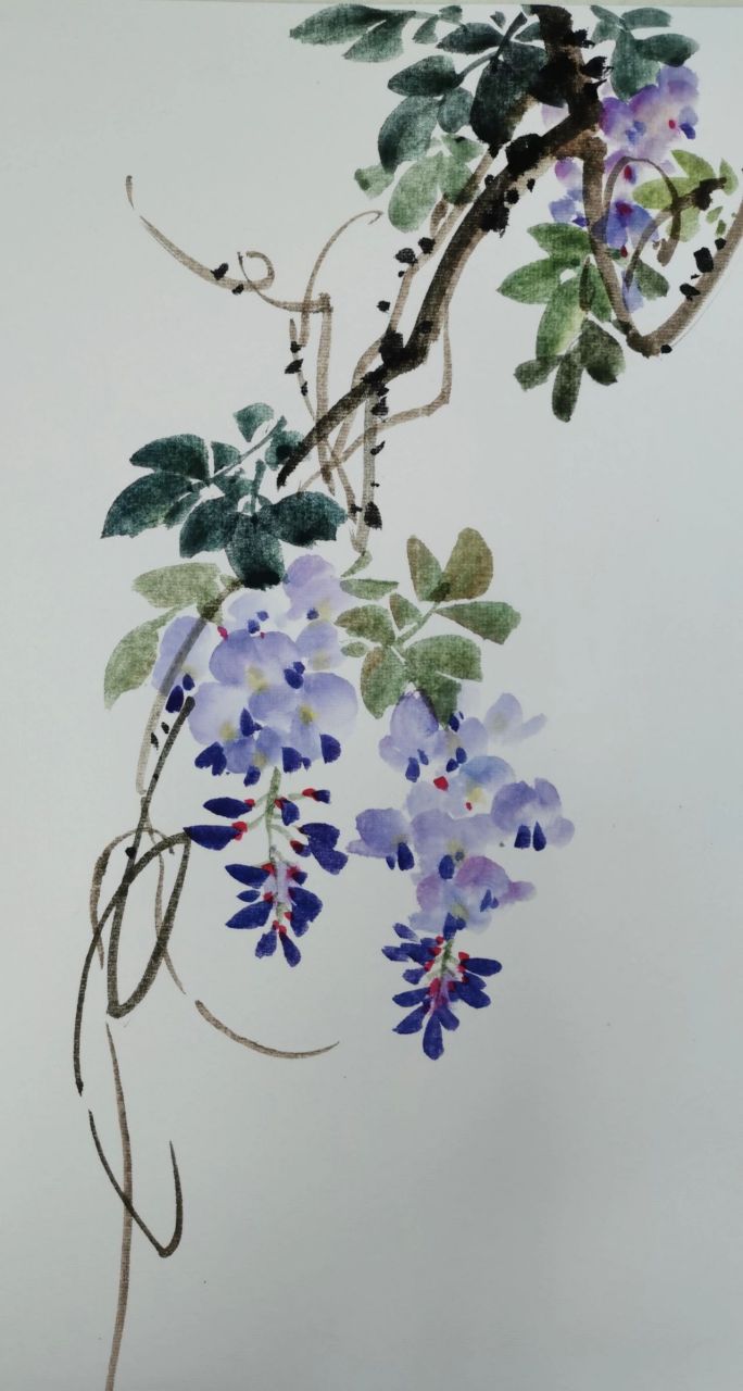 国画写意 紫藤花 《绿蔓盈紫袖》答疑要点: 1,这幅作品描绘的是初夏