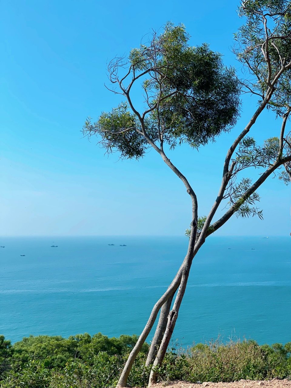 四海南澳岛取景地图片