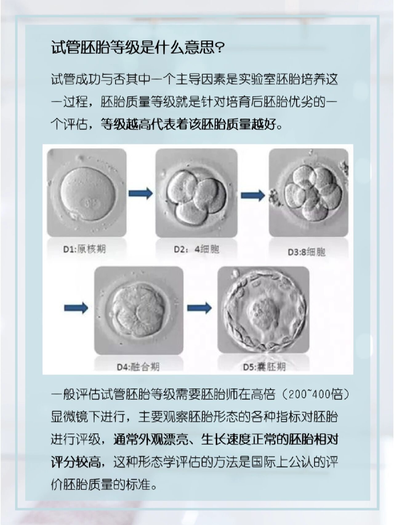 97试管成功率与胚胎质量等级7515