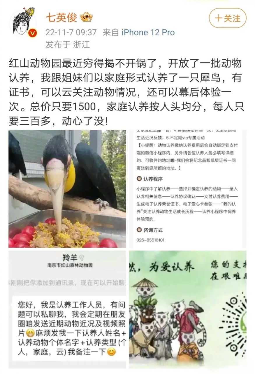 红山动物园动物认养图片