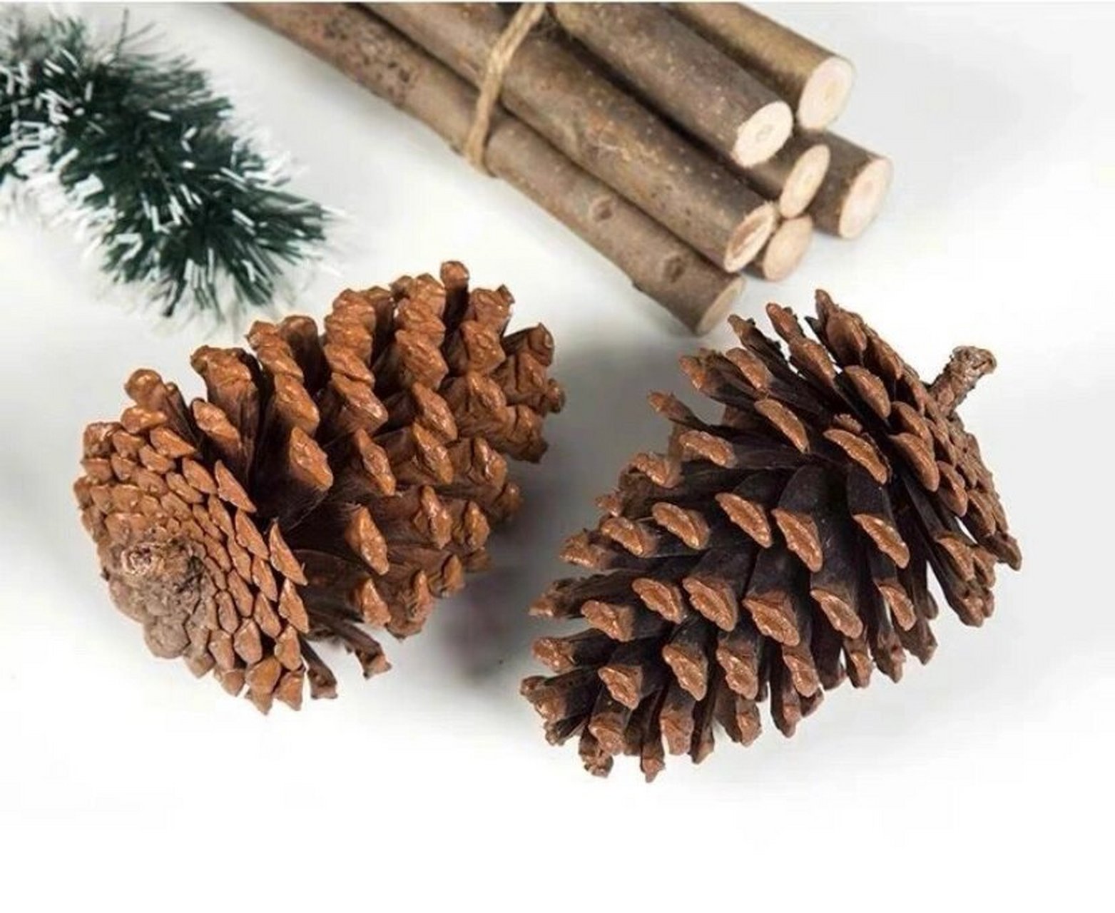 大自然松果子,果型还真是好看哦78 天然松果球,深山里采摘,diy一下