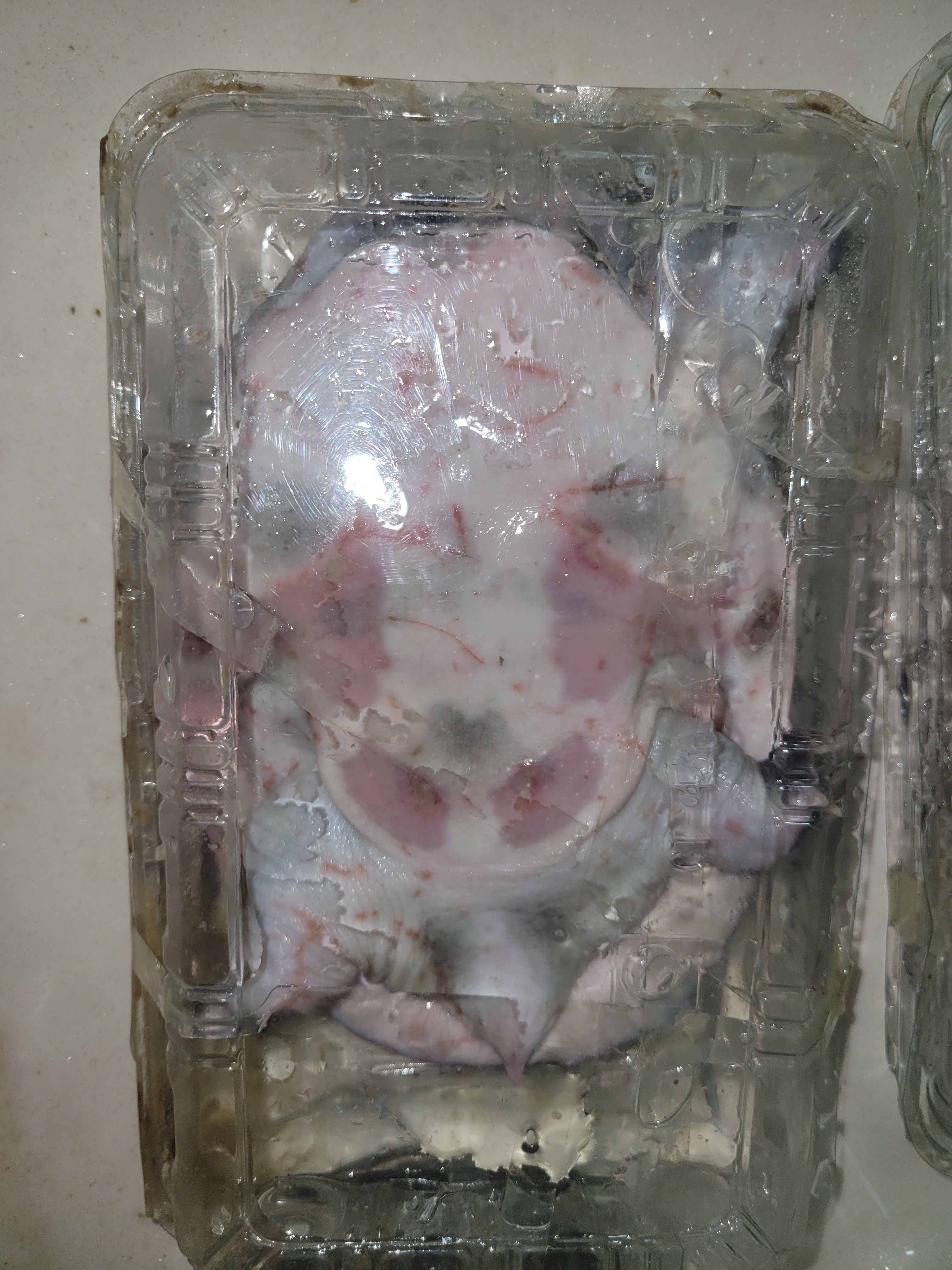 悟道 的想法: 网购的甲鱼,肚子红色斑点能吃吗? | 网