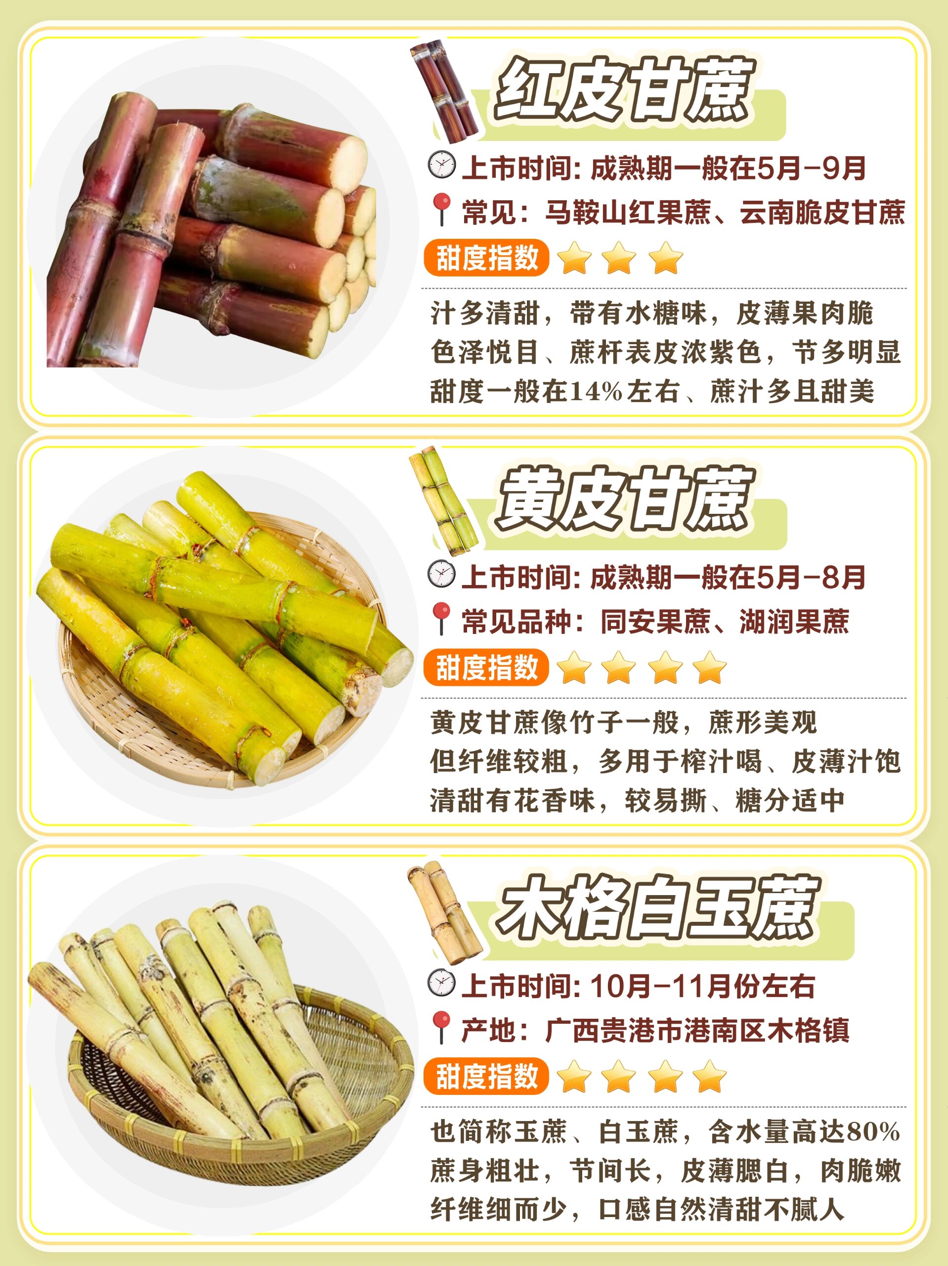 常见甘蔗品种图鉴|品种区别|甜度选择|口感