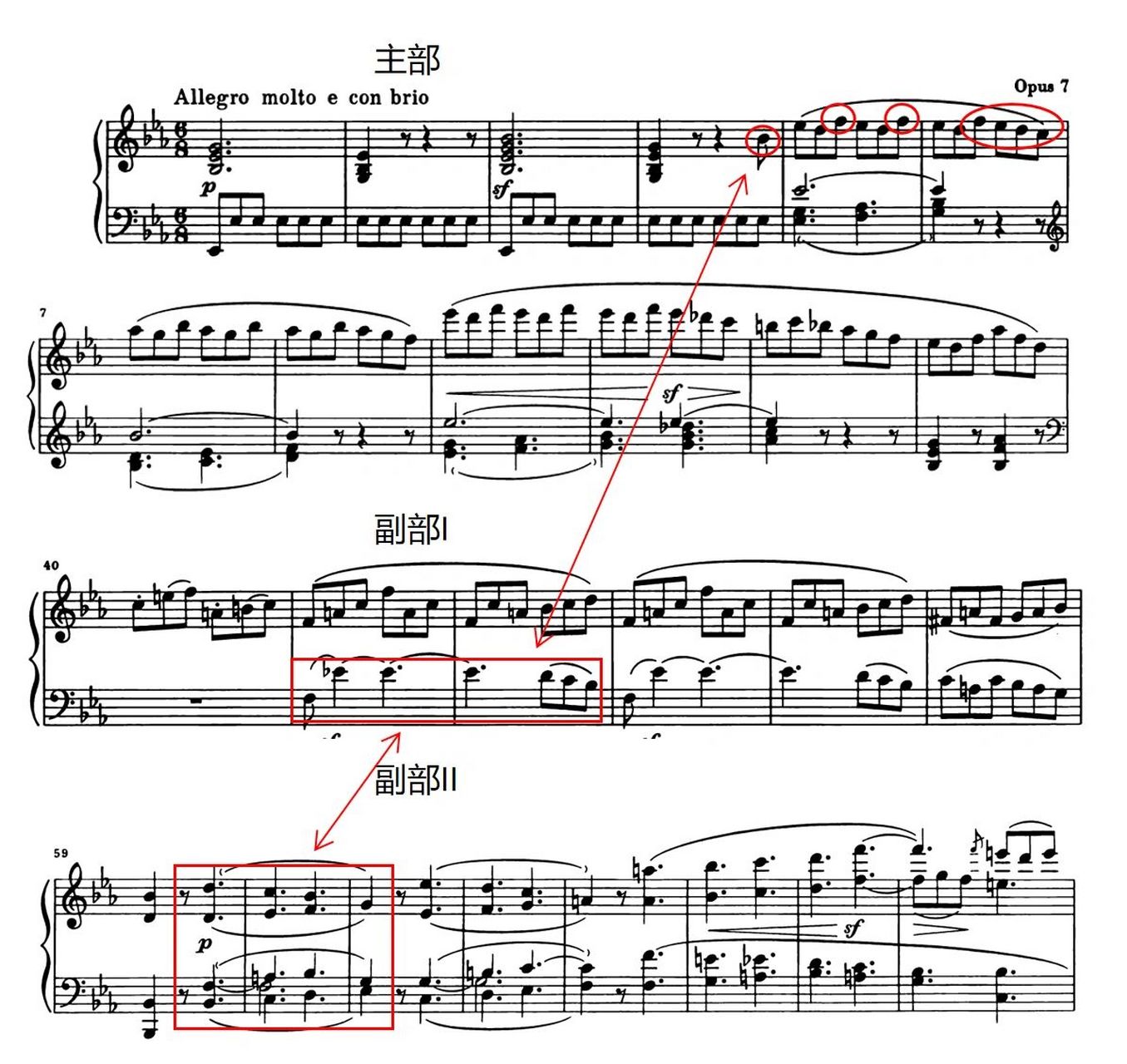 曲式分析Ⅰ贝多芬第四钢琴奏鸣曲第一乐章 贝多芬第四钢奏op.