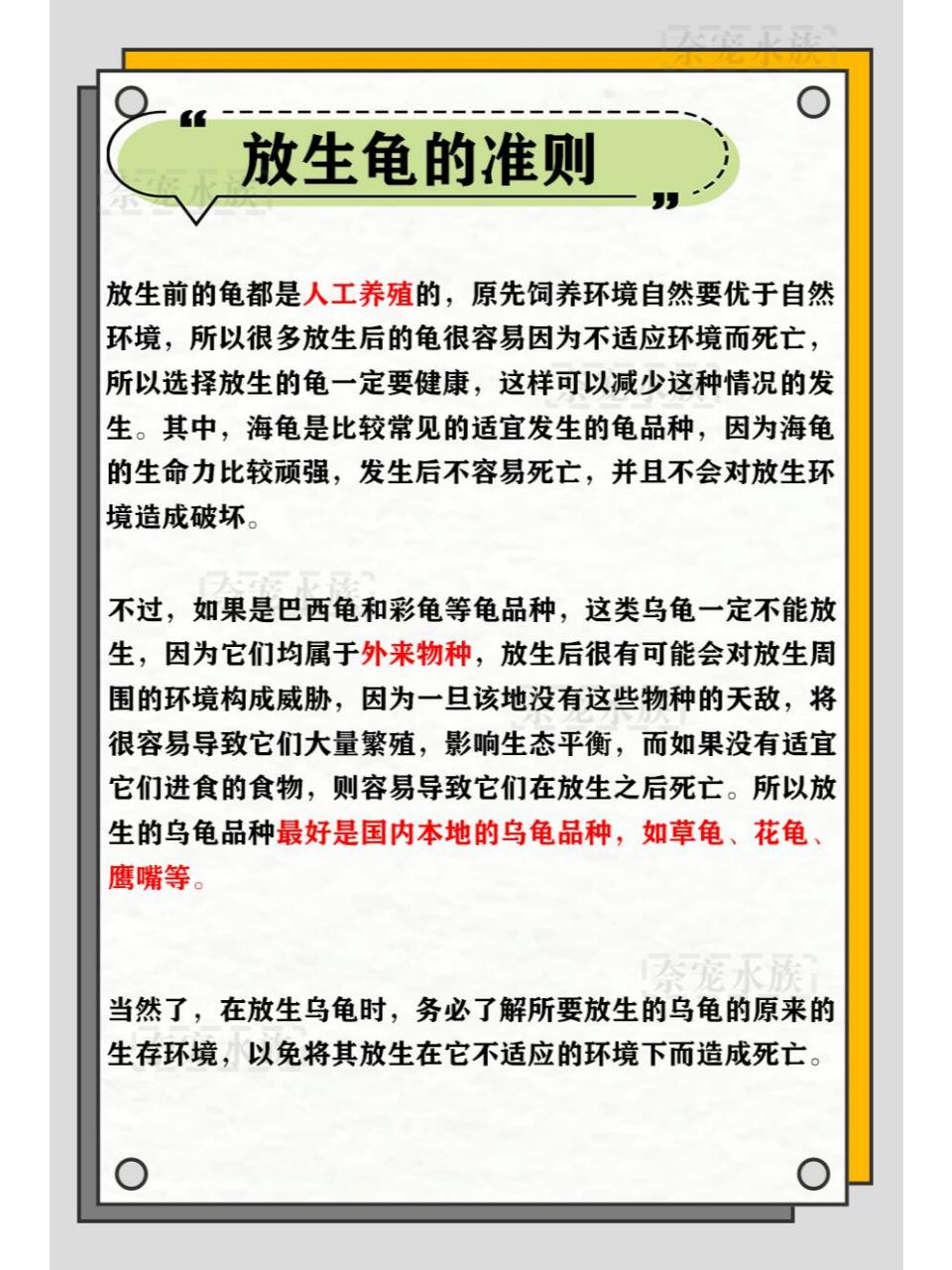 放生乌龟的注意事项
