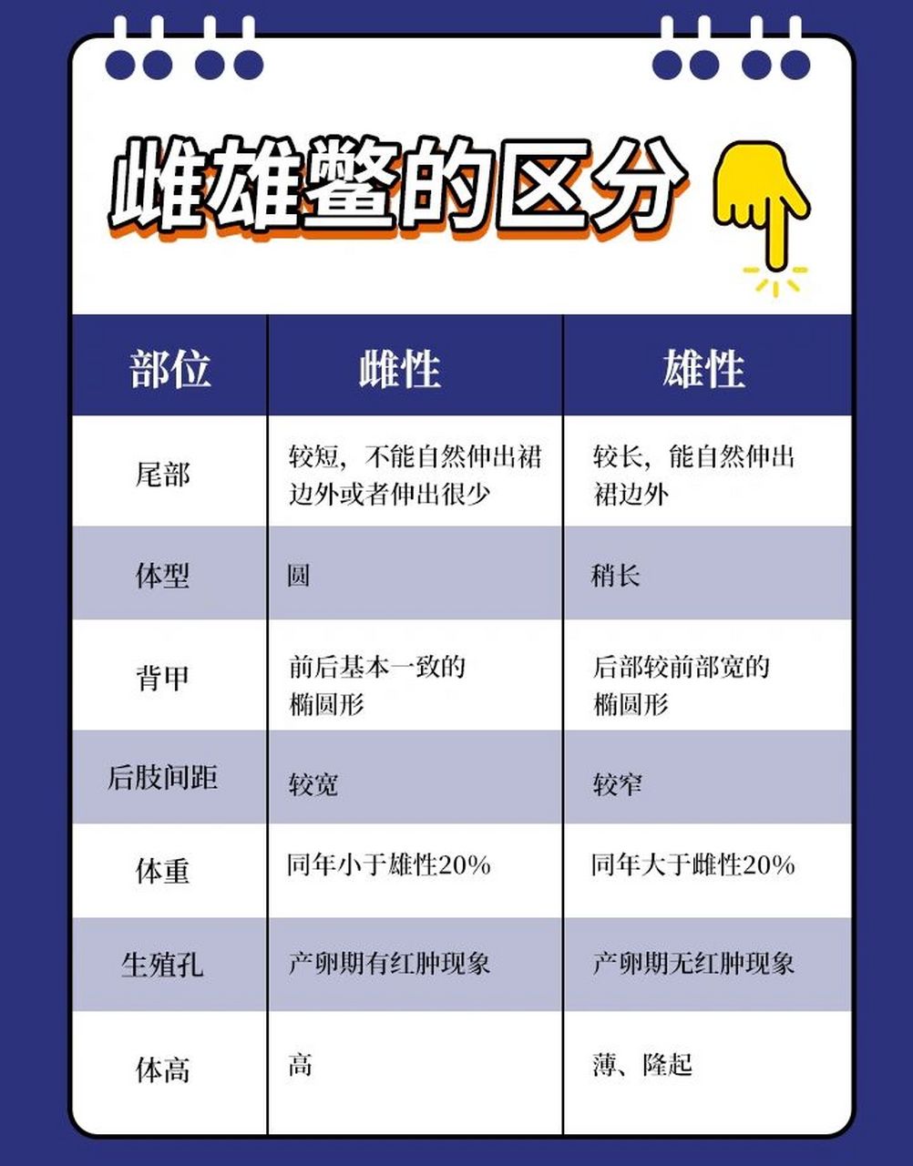 雌雄鳖的区分 雌雄鳖的区分 97雌性:雌性鳖体厚背圆,体重较轻,背甲