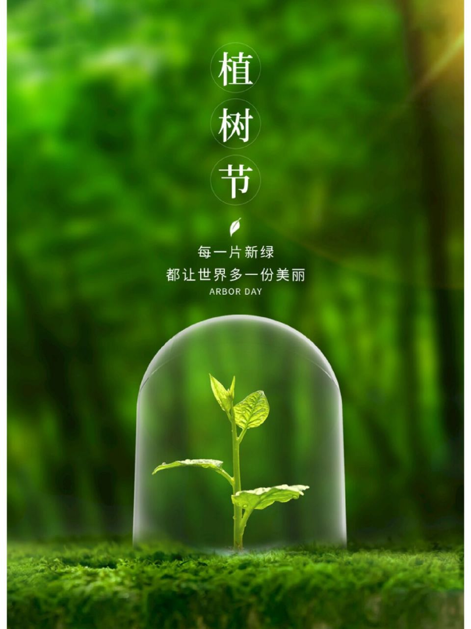 9张312植树节海报|9条植树节文案 98分享3.