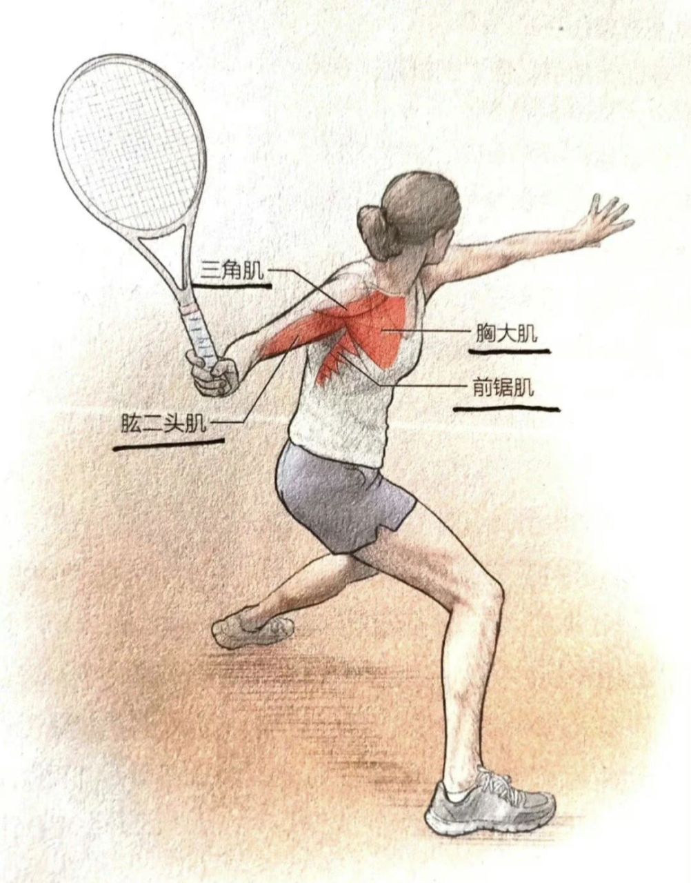 正手击球98 正手击球是网球运动中最重要的击球方式之一