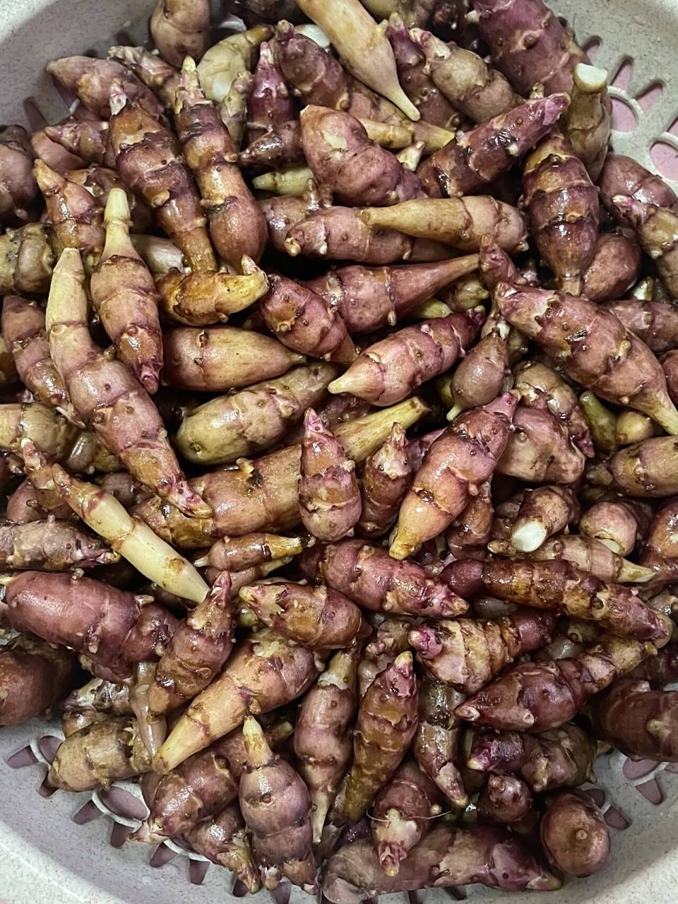 姜不辣土特产 我们吉林舒兰这个叫姜不辣 拌咸菜脆脆的很好吃