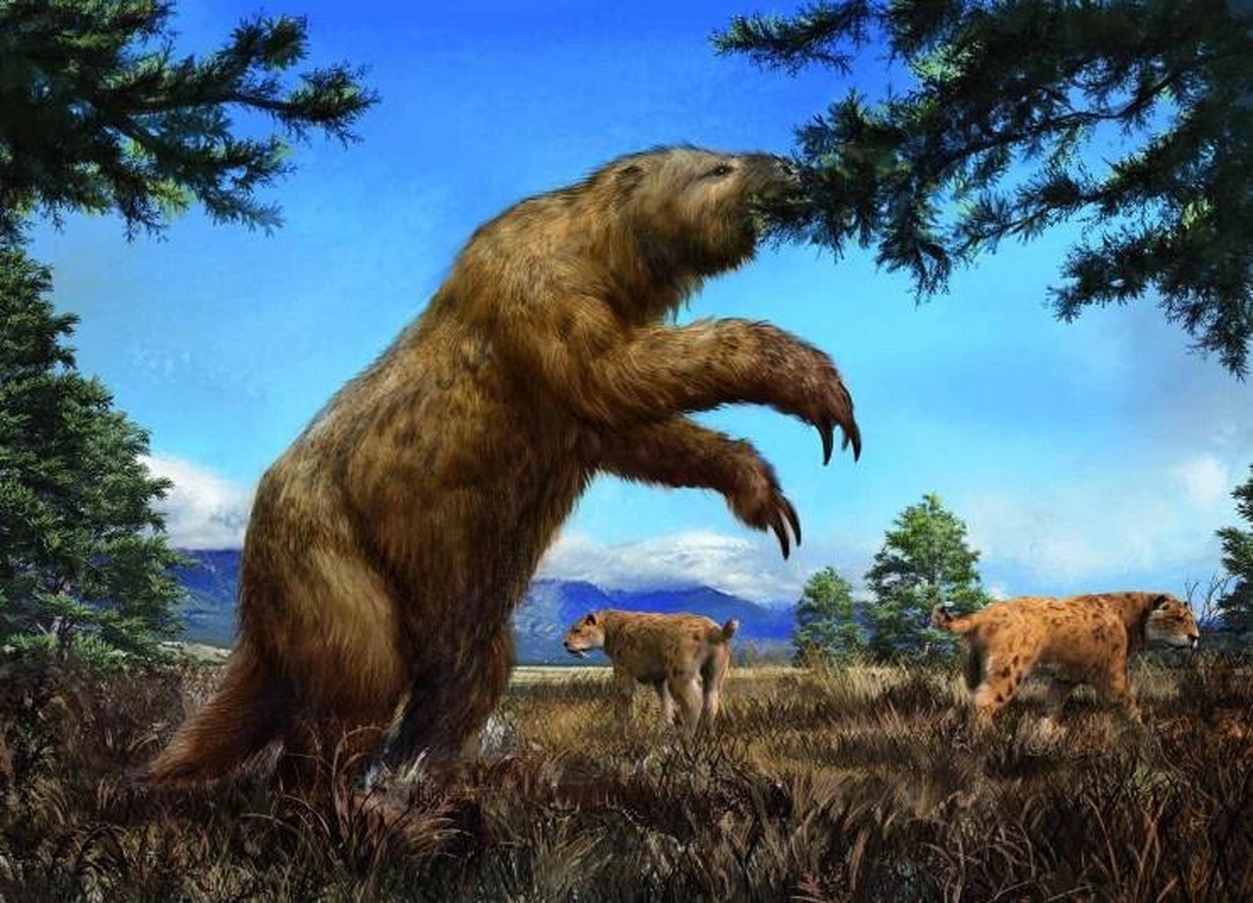 约8000年前,大地懒和美洲的很多大型哺乳动物一起神秘灭绝了,具体原因