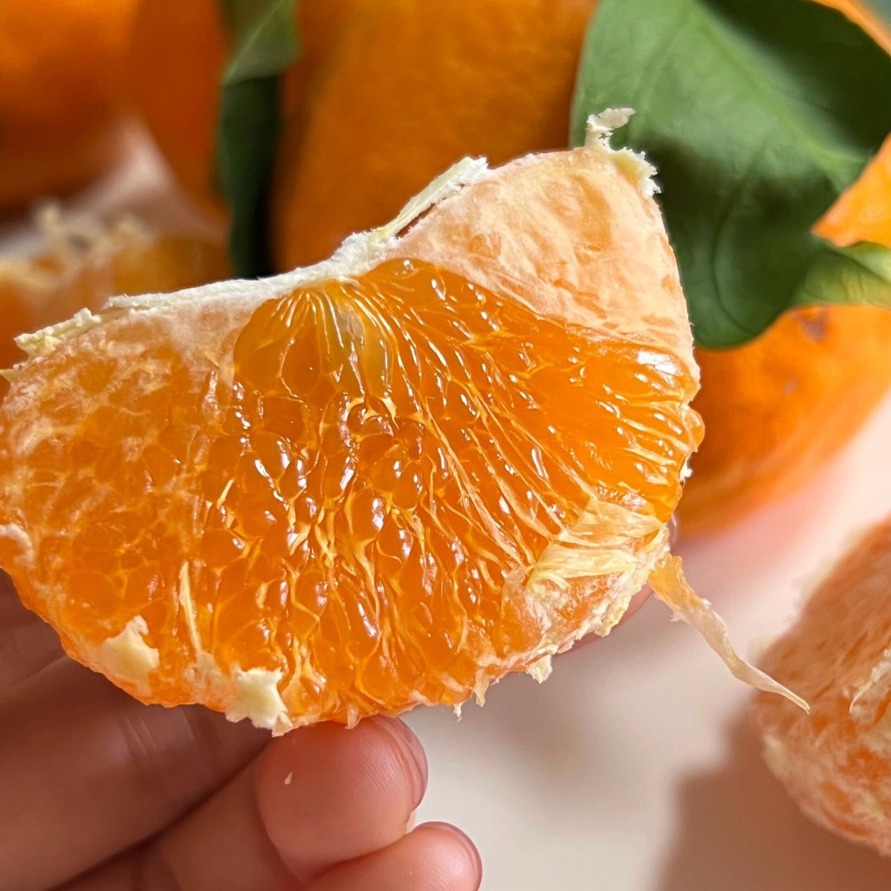 目前心中排前三的高端柑橘92 爱媛43,又名黄公主,相思醉美人.