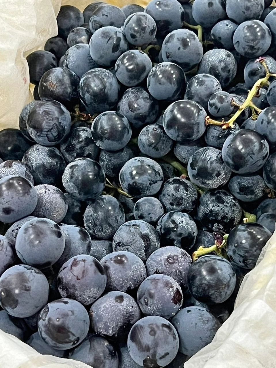 5斤 超甜的蓝莓葡萄 值吗!