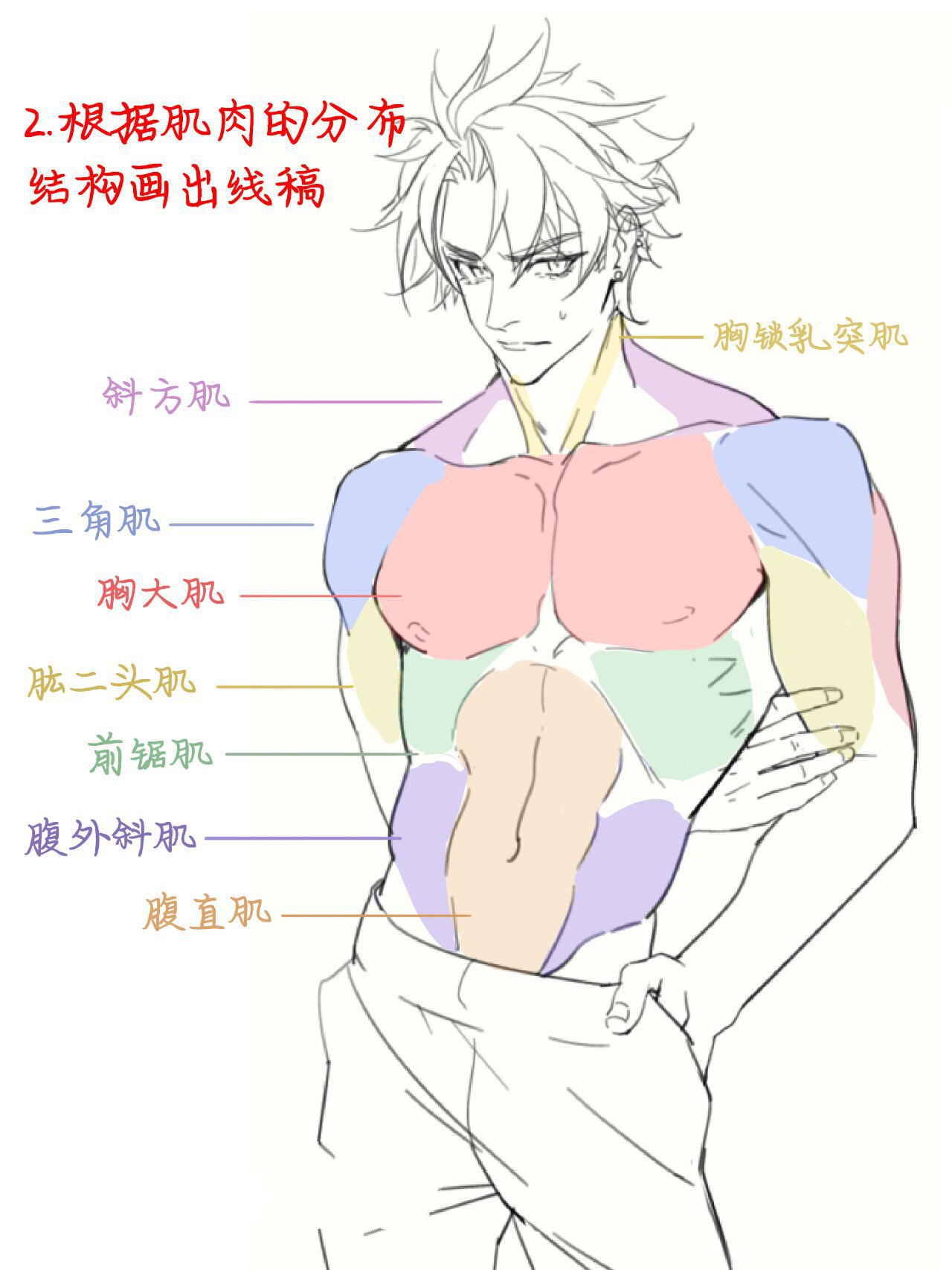 【干货教程】人体体块,肌肉和穿衣的画法 今天是孙策老师来教我们怎么