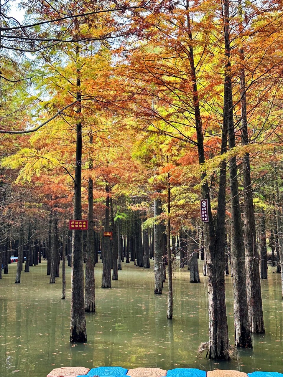 宣城川藏线景点图片