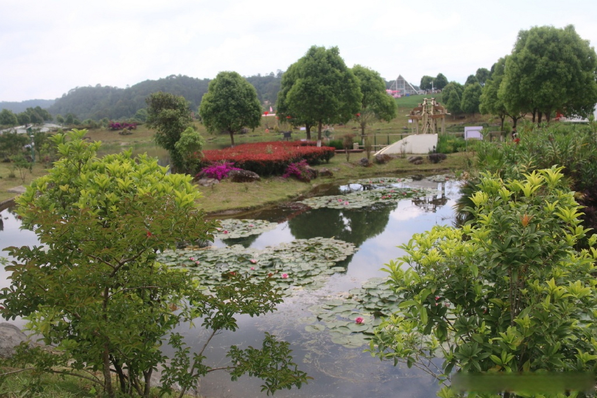 总要去趟腾冲吧# 腾冲原乡栖花岭景地约2500亩,位于云南省腾冲市曲石
