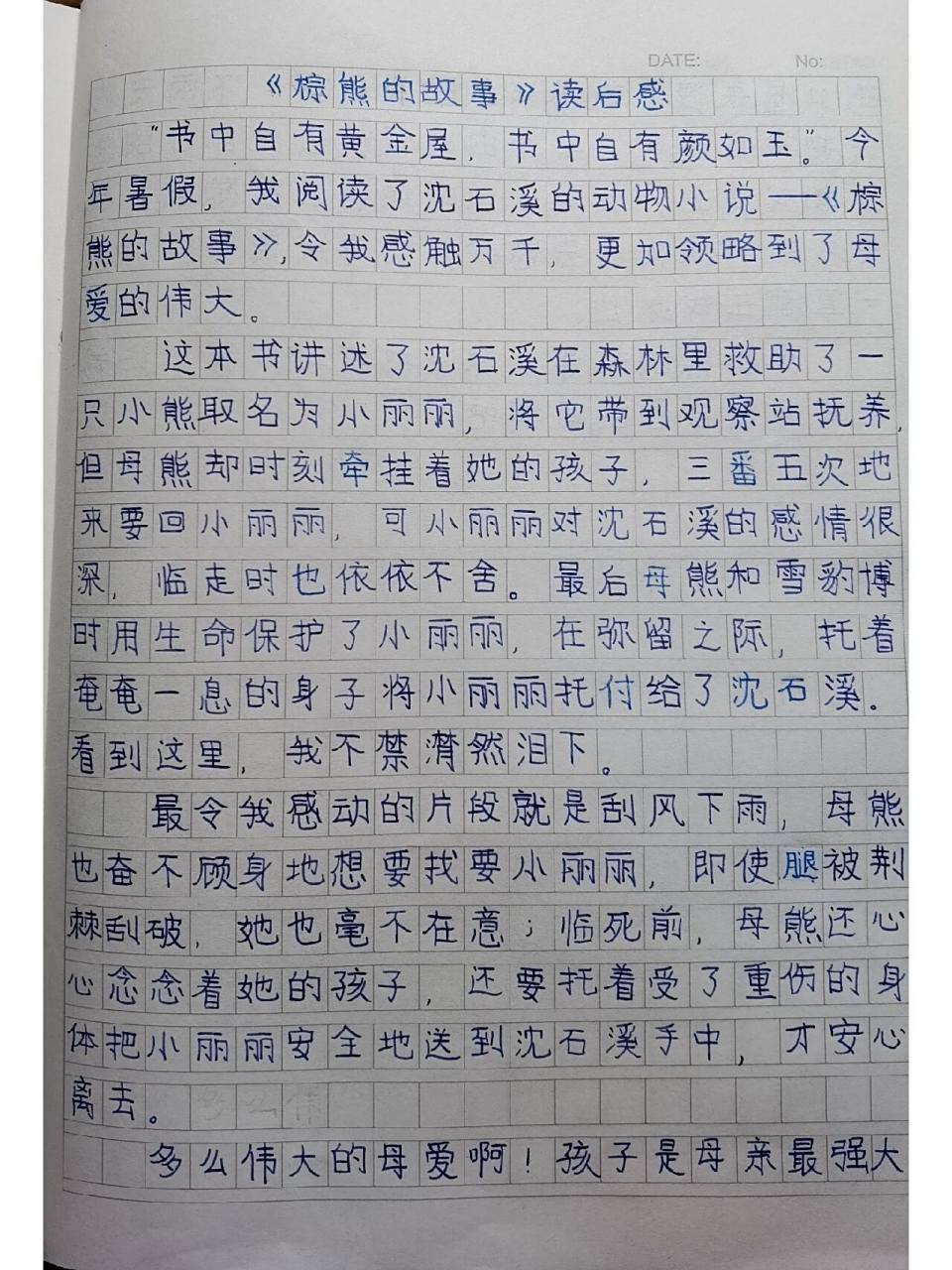 沈石溪动物小说《棕熊的故事》读后感 #小学作文# #五年级语文# #五