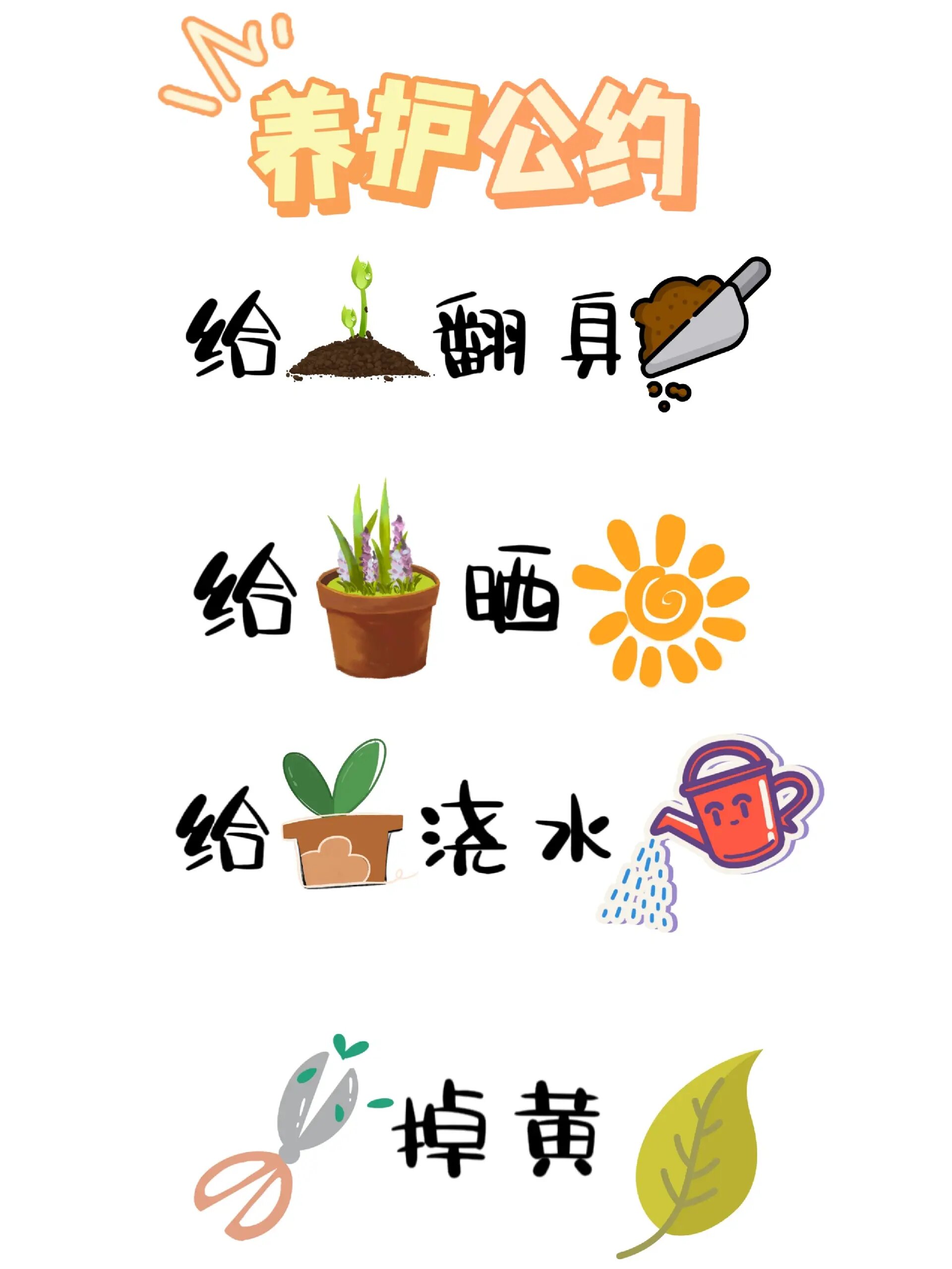 植物角素材 植物角环创 可打印