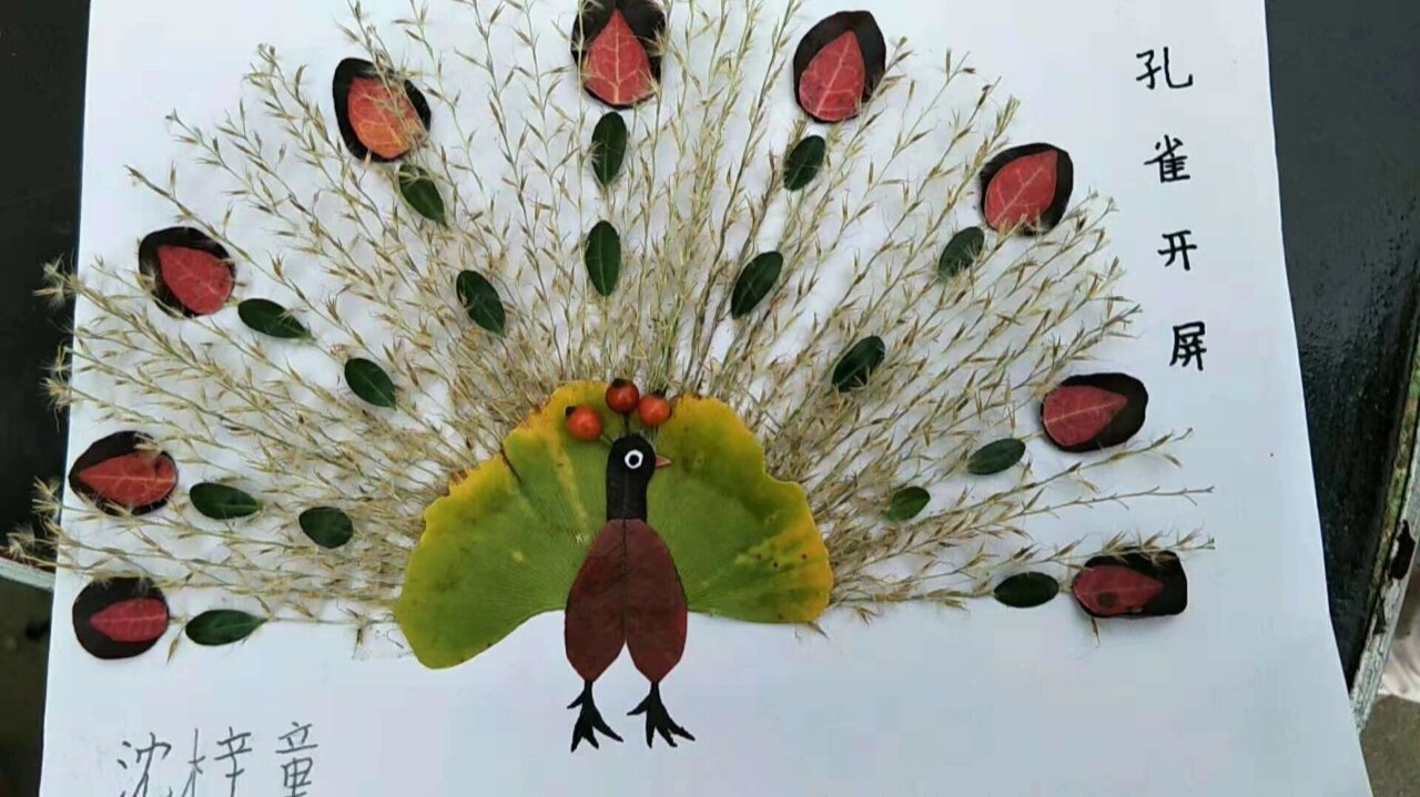 树叶画,树叶贴画,孔雀开屏,幼儿秋天手工
