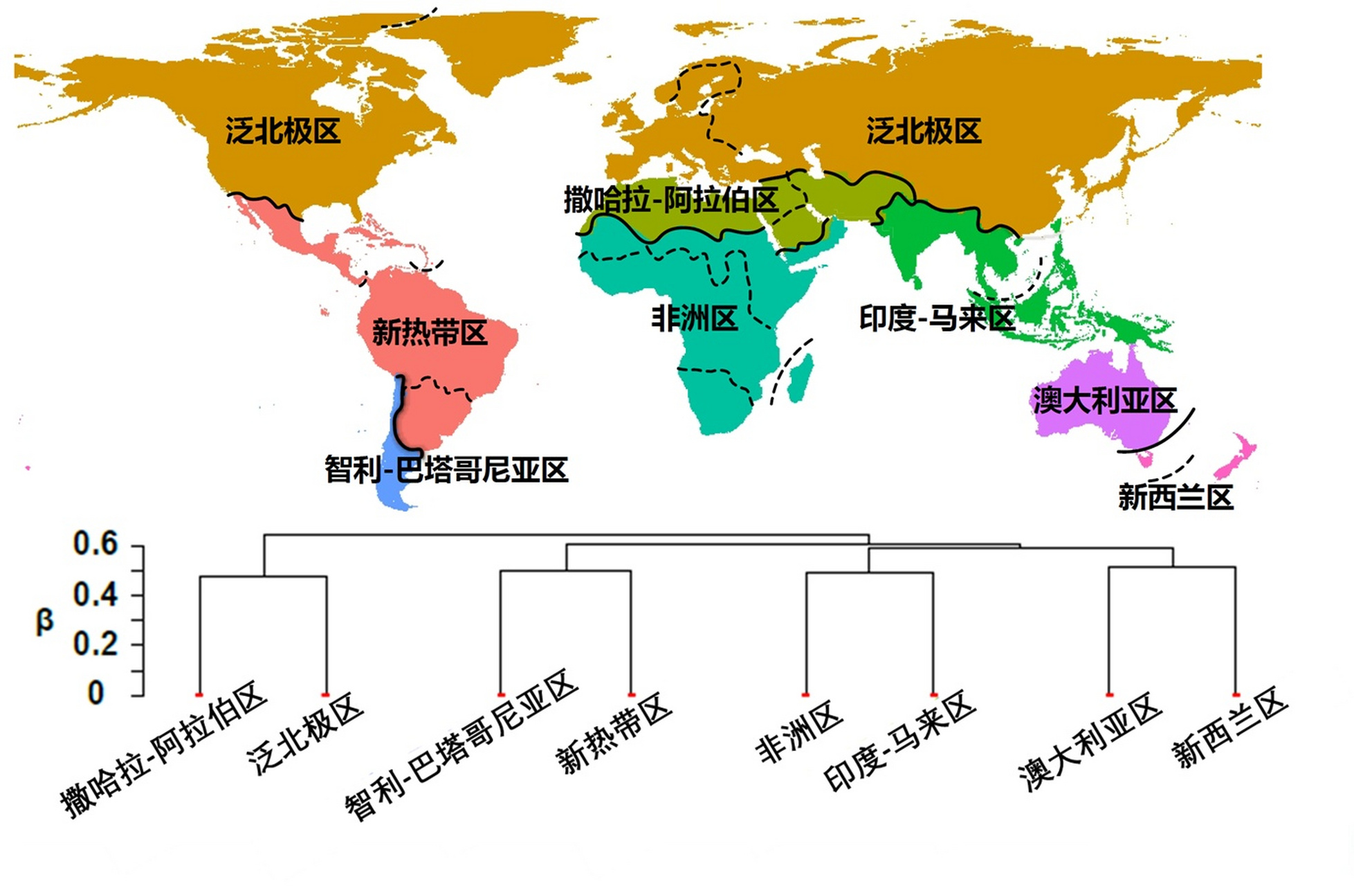 植被类型分布图 世界图片