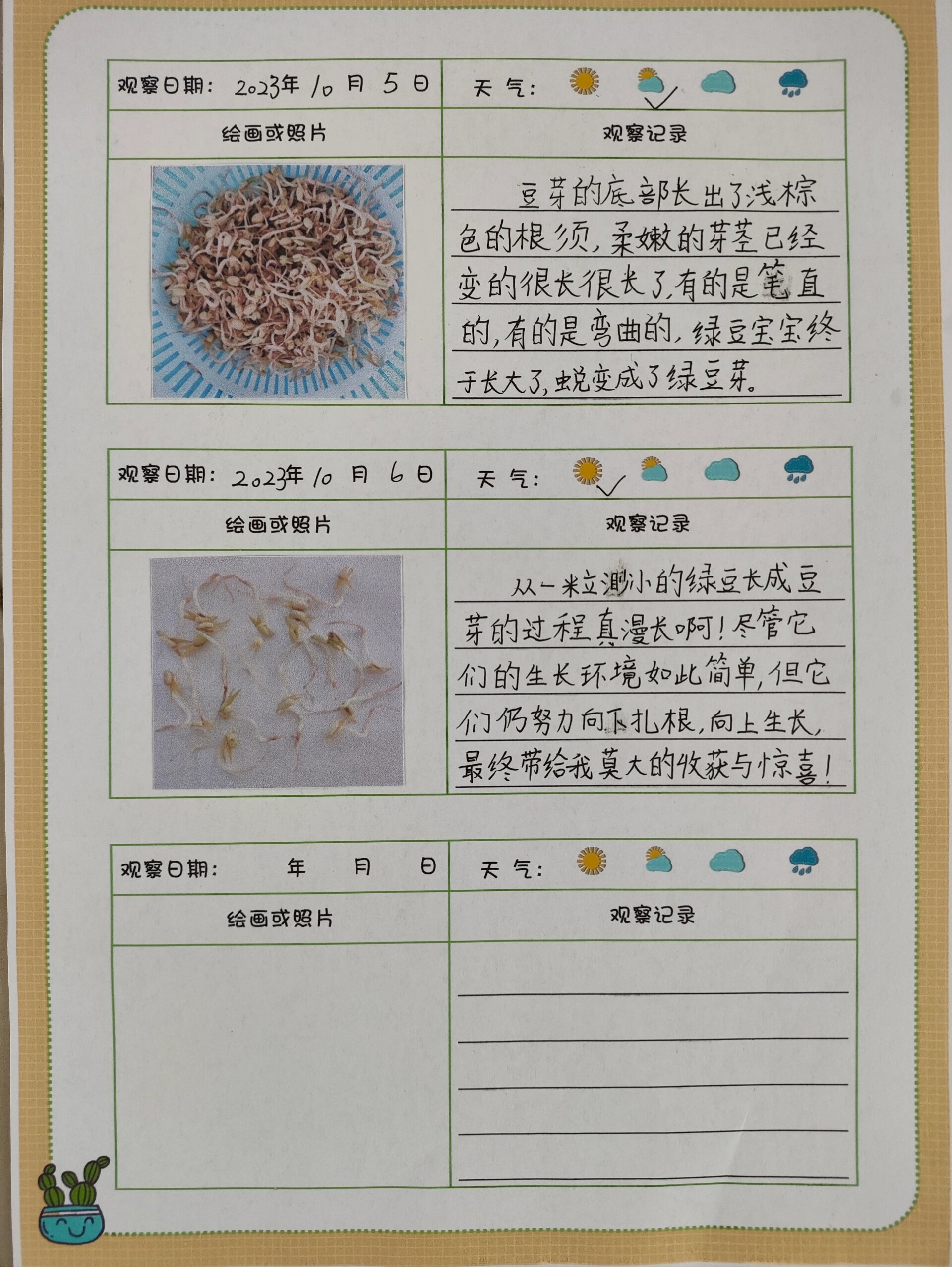 绿豆发芽观察日记