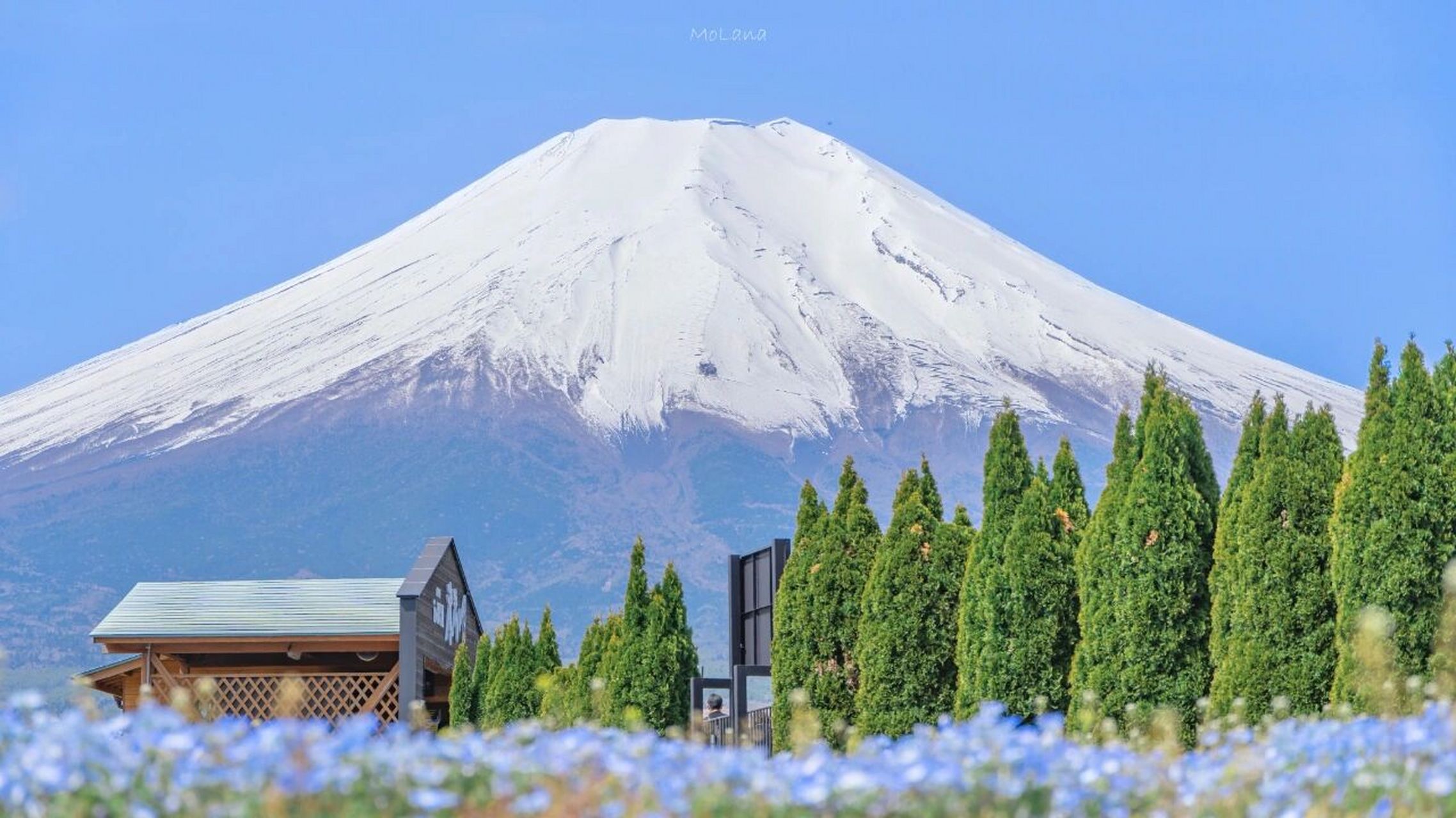 富士山91丨电脑壁纸 富士山真的是yyds 奶思,绝绝子