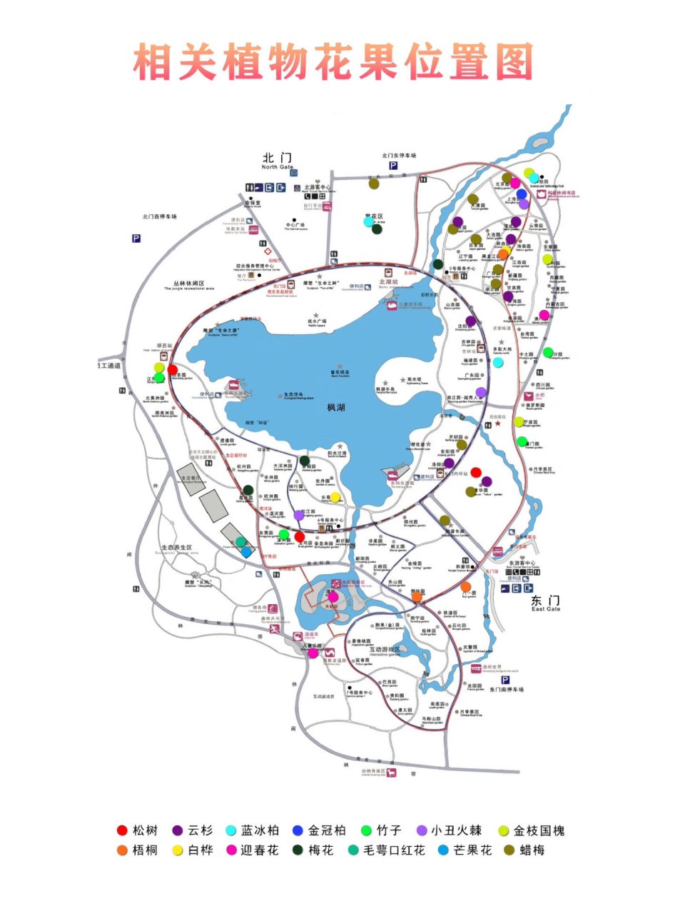 去绿博园的可以先关注一下郑州绿博园的微信公众号,里面有详细地图