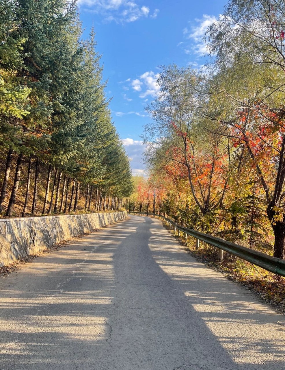 家乡真美呀-黑龙江鸡西麒麟山