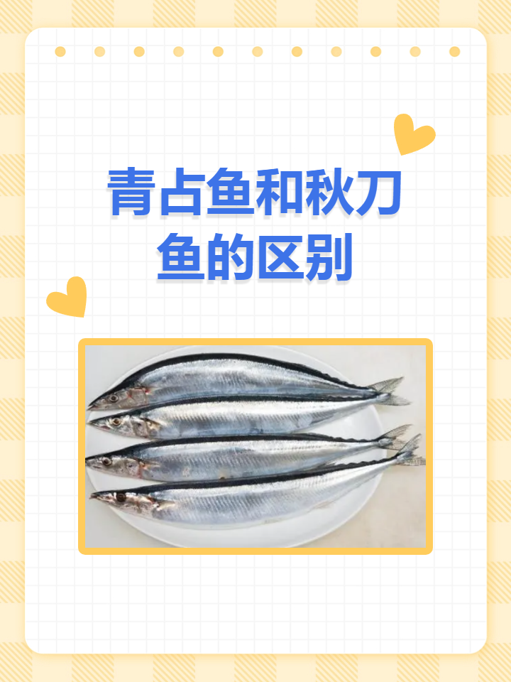 青占鱼和秋刀鱼的区别