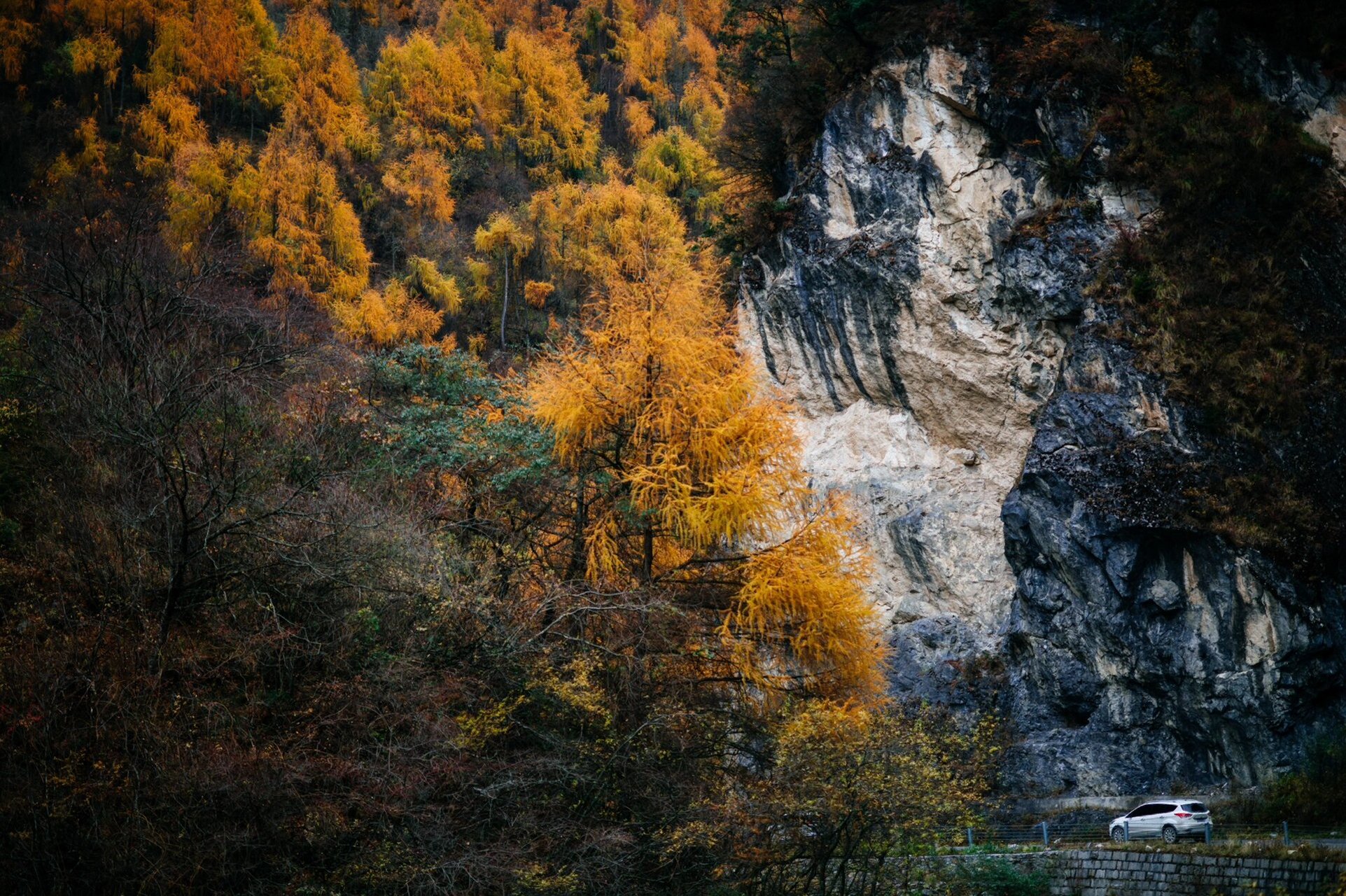 灭门徕卡s006后的回忆 徕卡s006最大的问题是脱膜,二是对焦,三是镜头