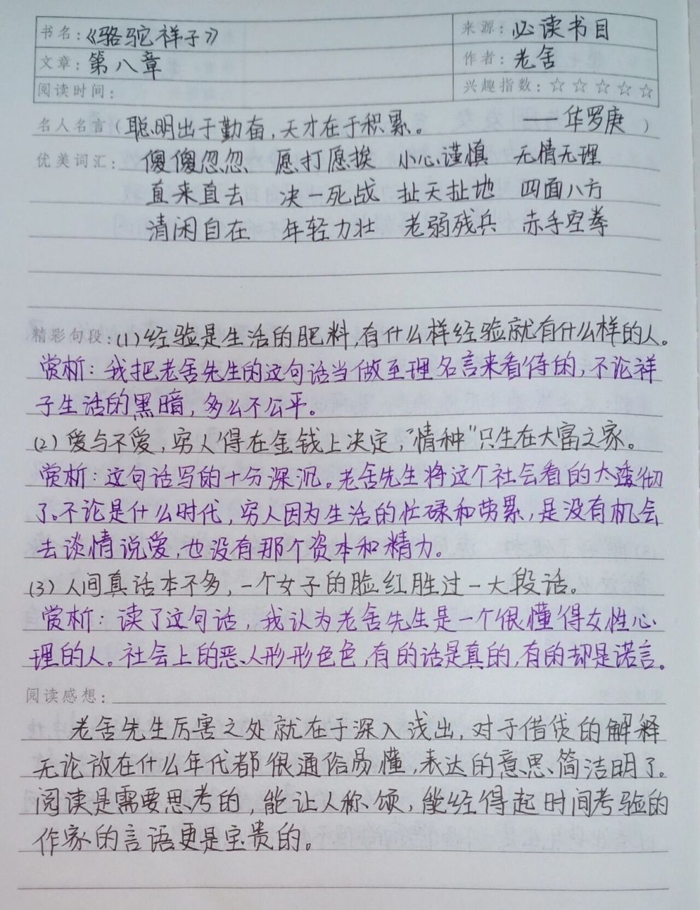 《骆驼祥子》读书笔记 ----第八章 《骆驼祥子》读书笔记 ----第八章