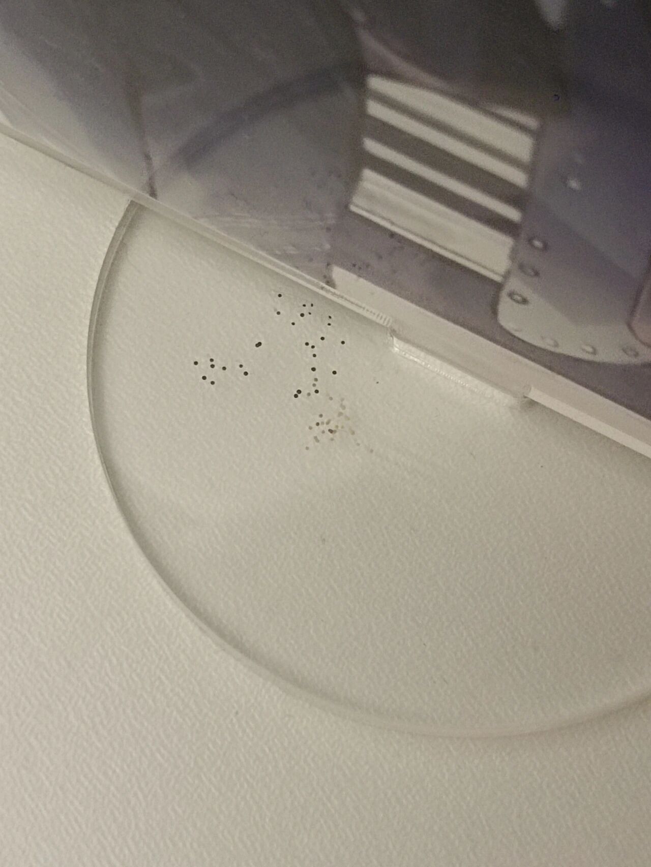 家人们 这是蚊子屎吗! 立牌上突然有这些点子不确定是蟑螂还是蚊子屎