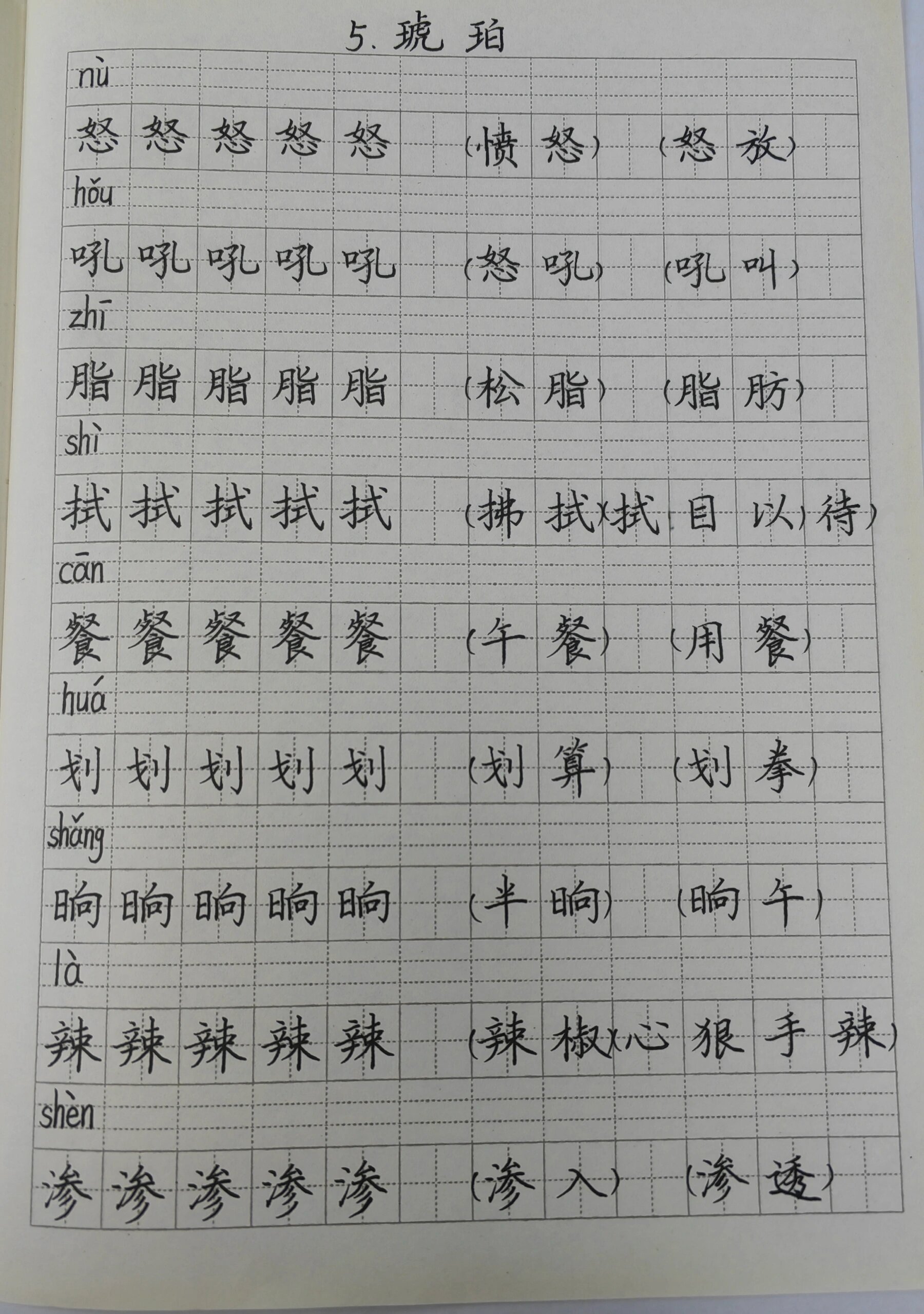 琥珀 6.飞向蓝天的恐龙 7.纳米技术就在我们身边